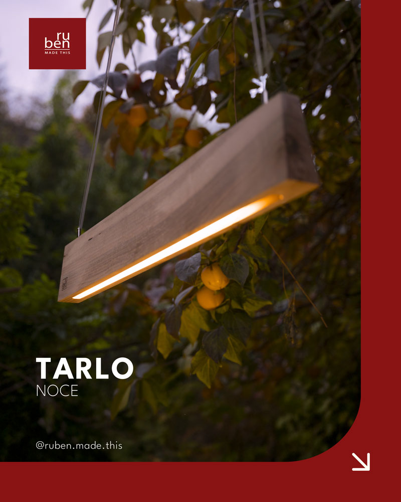 Tarlo